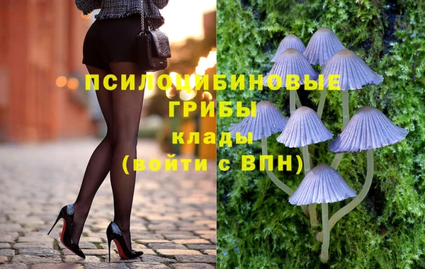 mdpv Остров