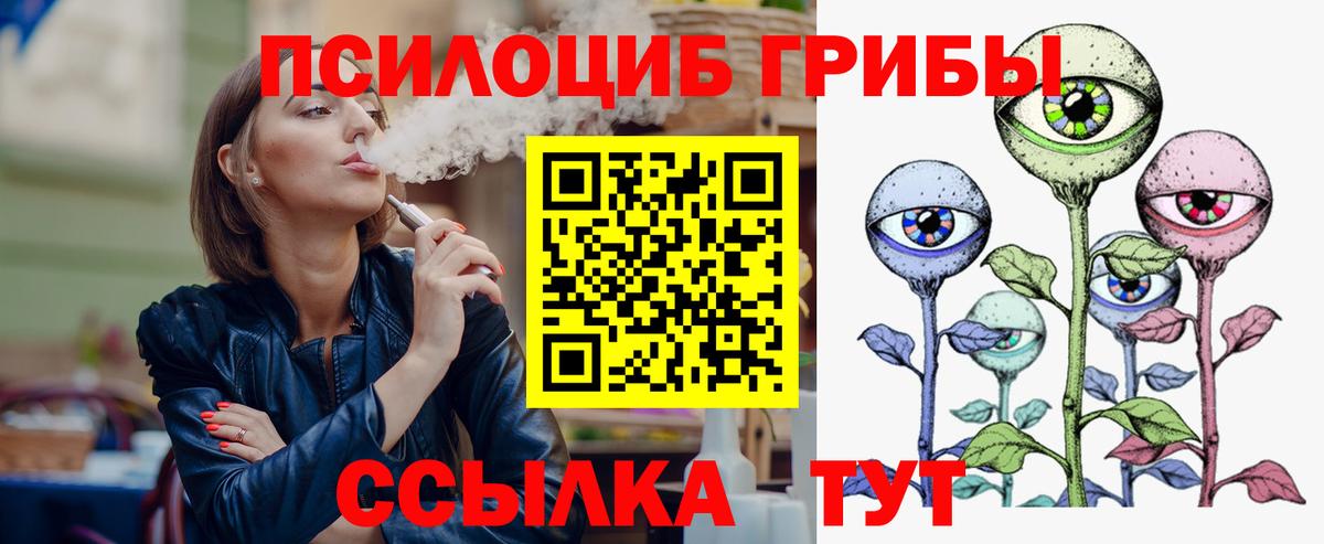 Псилоцибиновые грибы Psilocybe Россошь